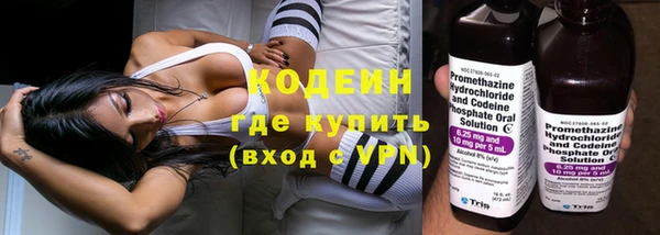 прущий лед Алзамай