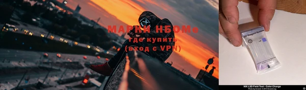 гидра Алексин