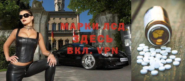 прущий лед Алзамай