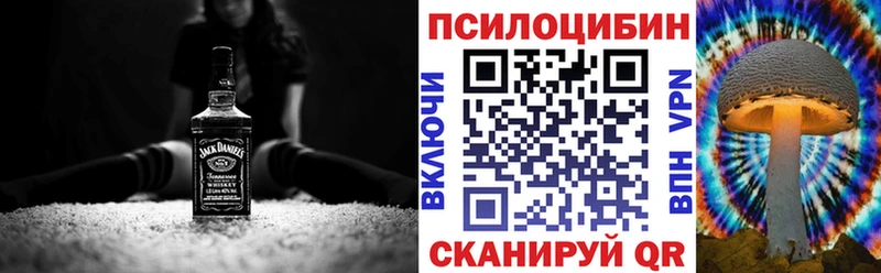 Псилоцибиновые грибы мухоморы  продажа наркотиков  Ленинск-Кузнецкий 